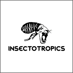 Insectotropics